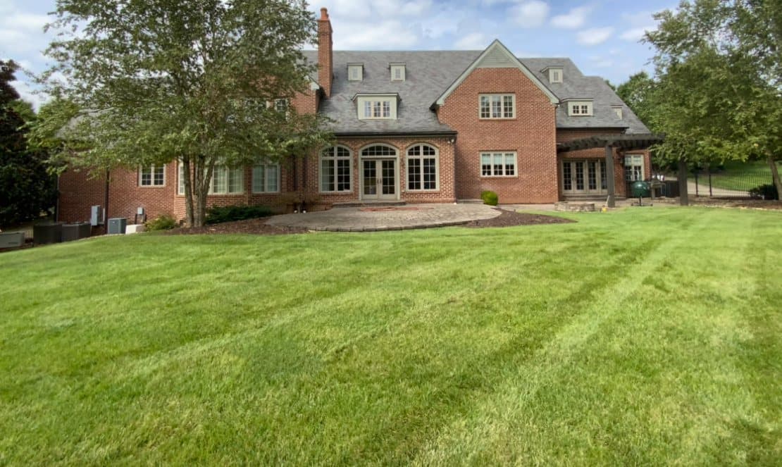Before: plain sloped lawn behind the brick house